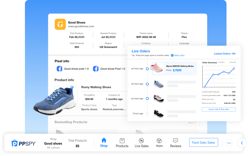 Detect the shopify theme from PPSPY chrome extension